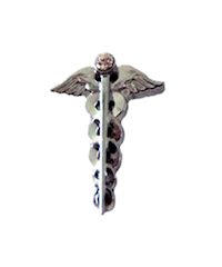 C&C Sweden Caduceus Nursing Clog Charm
